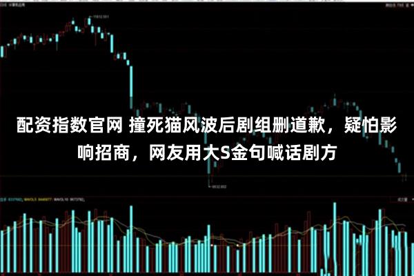 配资指数官网 撞死猫风波后剧组删道歉,疑怕影响招商,网友用大S金句喊话剧方